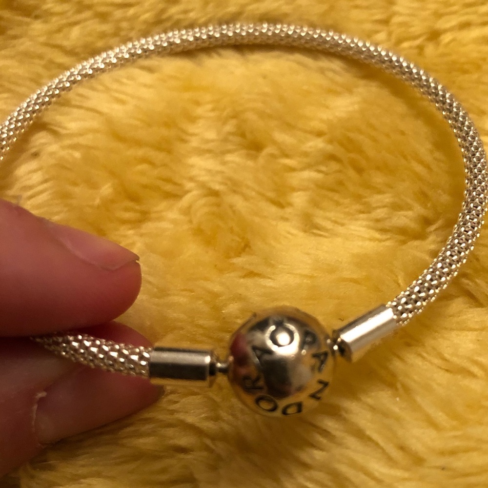 Pandora Bracelet (small)